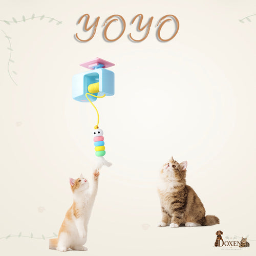 Jouet interactif pour Chat – Anti stress