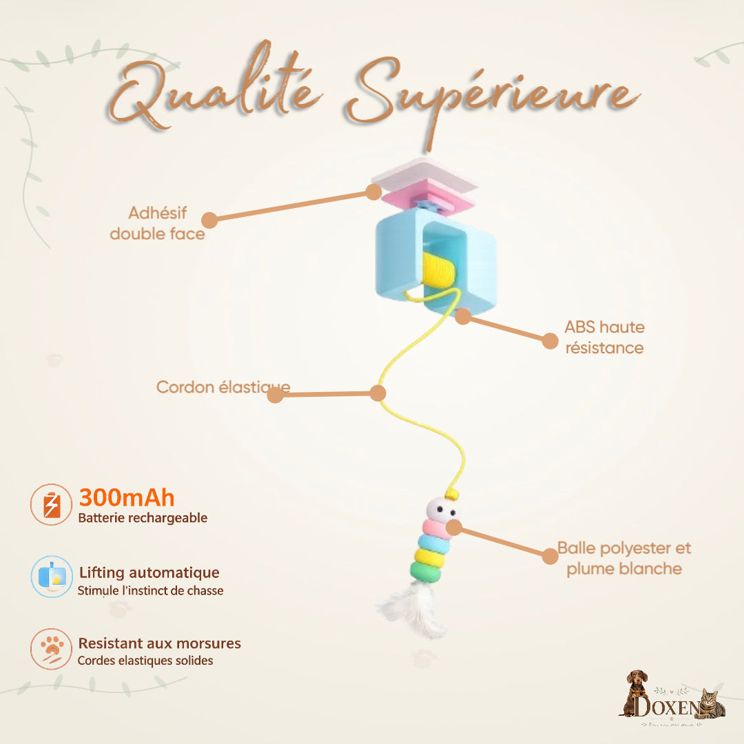 Jouet interactif pour Chat – Anti stress