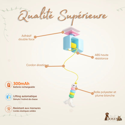 Jouet interactif pour Chat – Anti stress