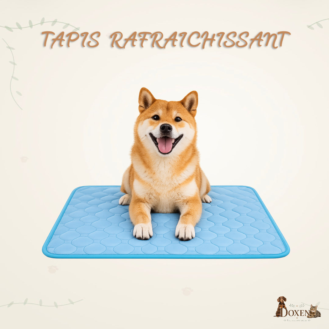 Tapis Rafraîchissant pour Chien & Chat – Confort Anti-Chaleur